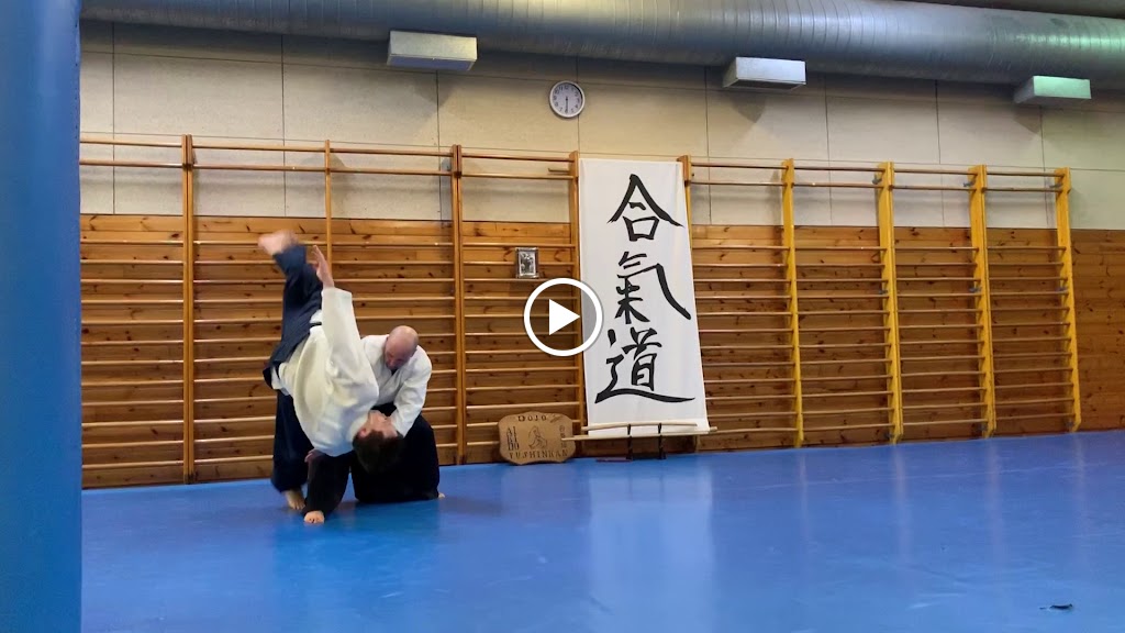 Aikido Yushinkan Leioa — Del propietario