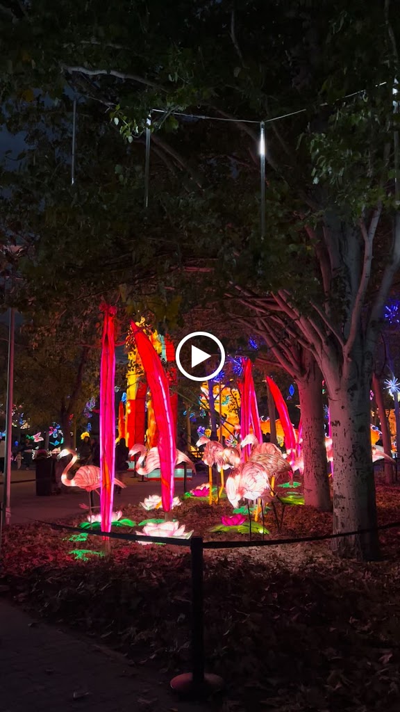 Templete del parque del Ocio — Videos