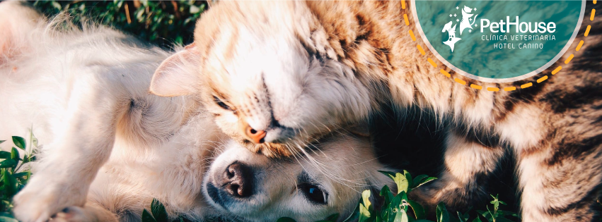 Clínica Veterinaria Pet House en Concon