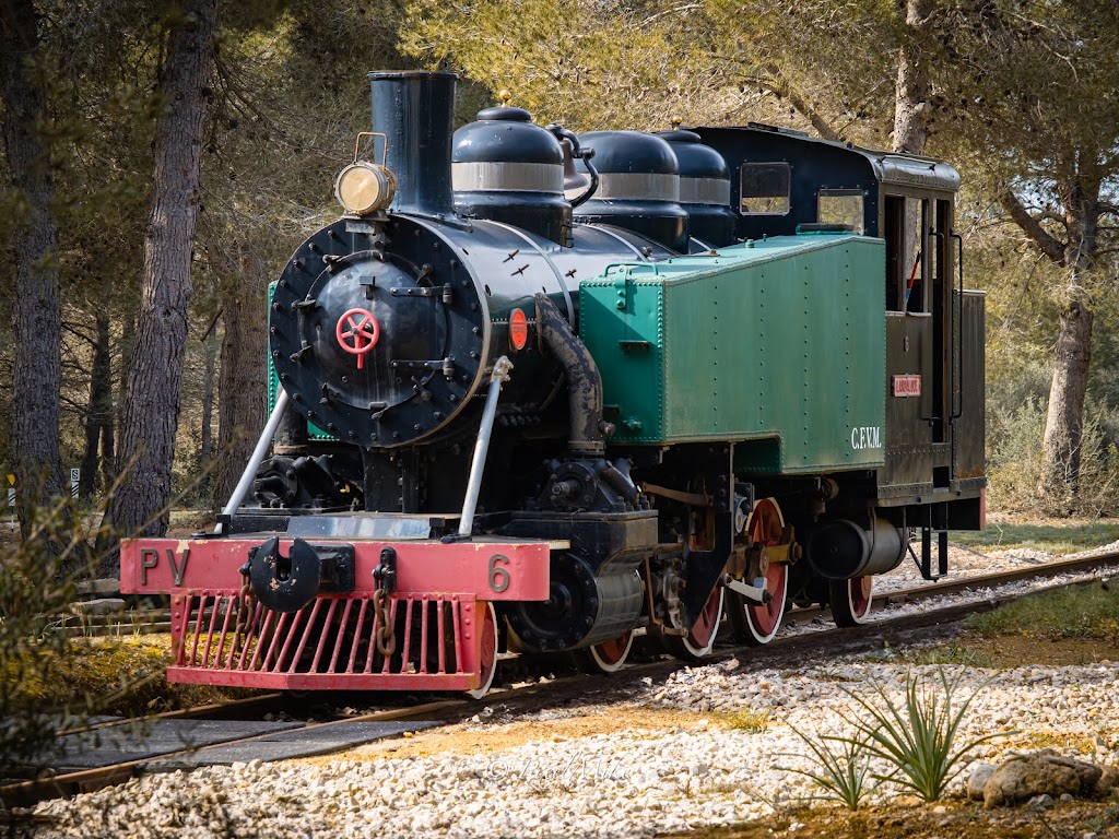 Club Ferroviari Vaporista de Mallorca — Mas recientes