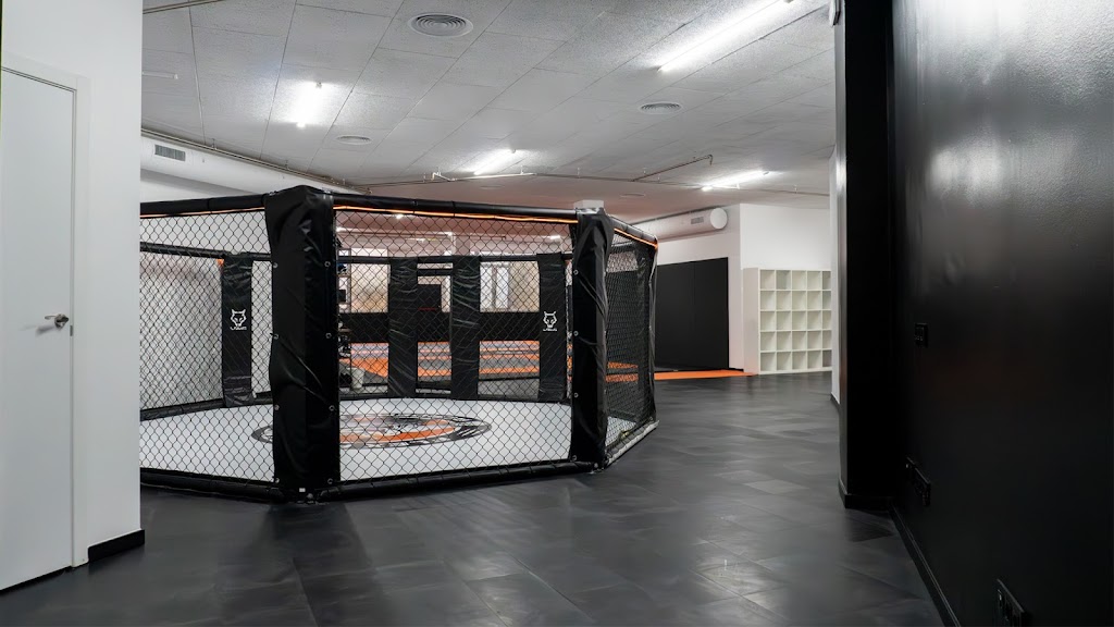 FLEX FIGHTING ACADEMY — Mas recientes