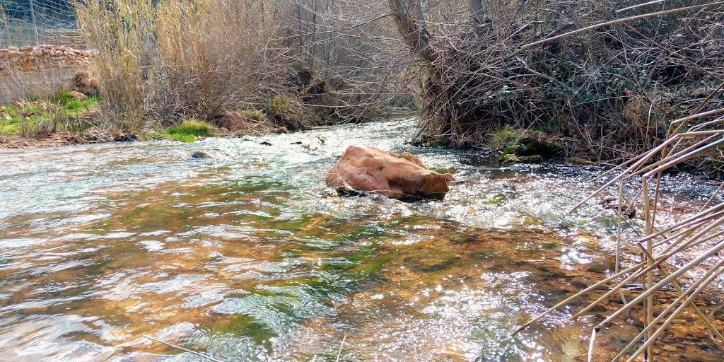 Fuente de la Presa ( nacimiento de agua )