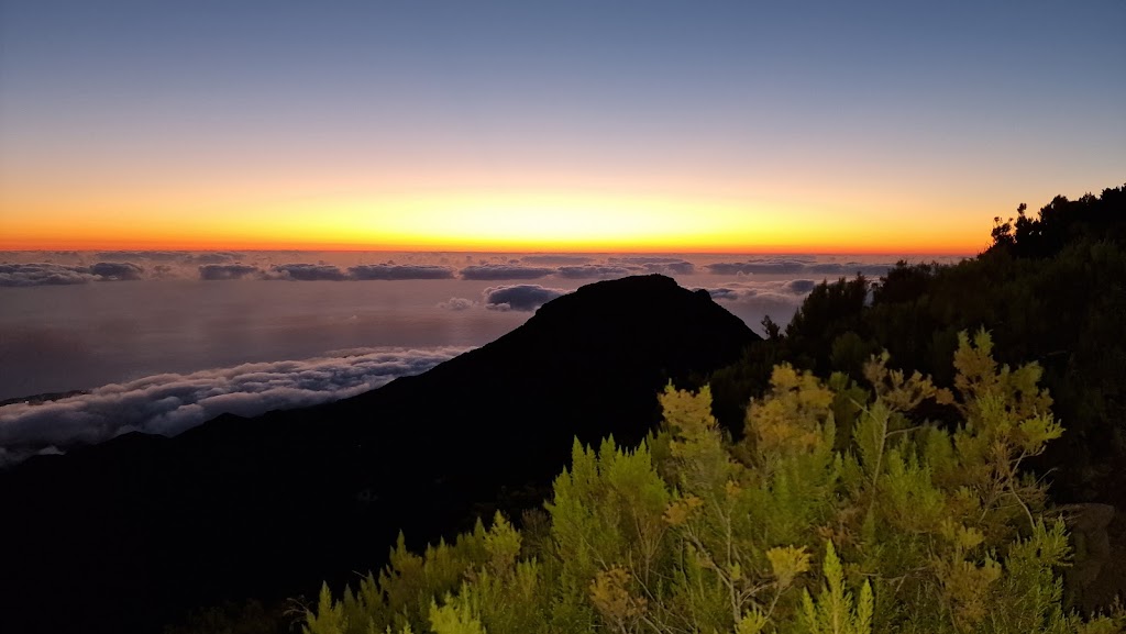 Agência de Turismo em Funchal