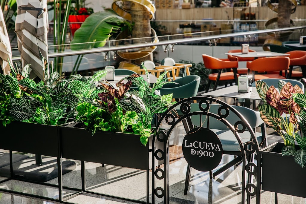 La Cueva de 1900 / Nevada II (Planta baja)