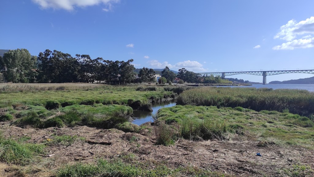 Marismas de Catoira