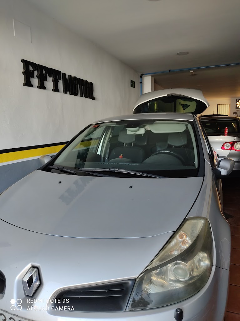 FFT MOTOR — Del propietario