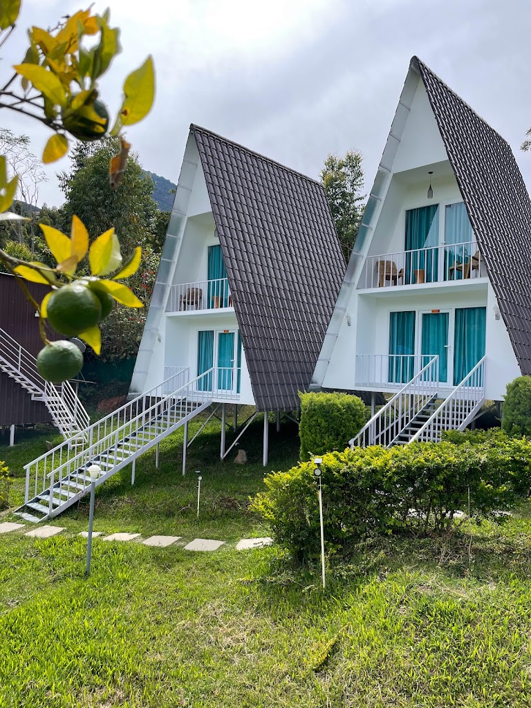 Dreams Resort