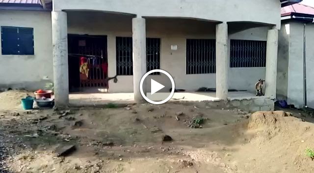 Area de Servei El Cabreres — Videos
