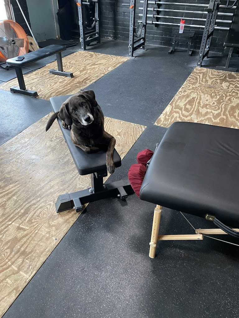  Primal Performance Training & Bodywork