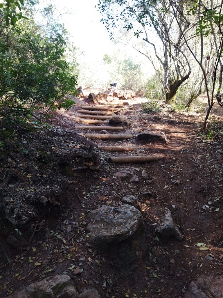 Vereda de Trasierra
