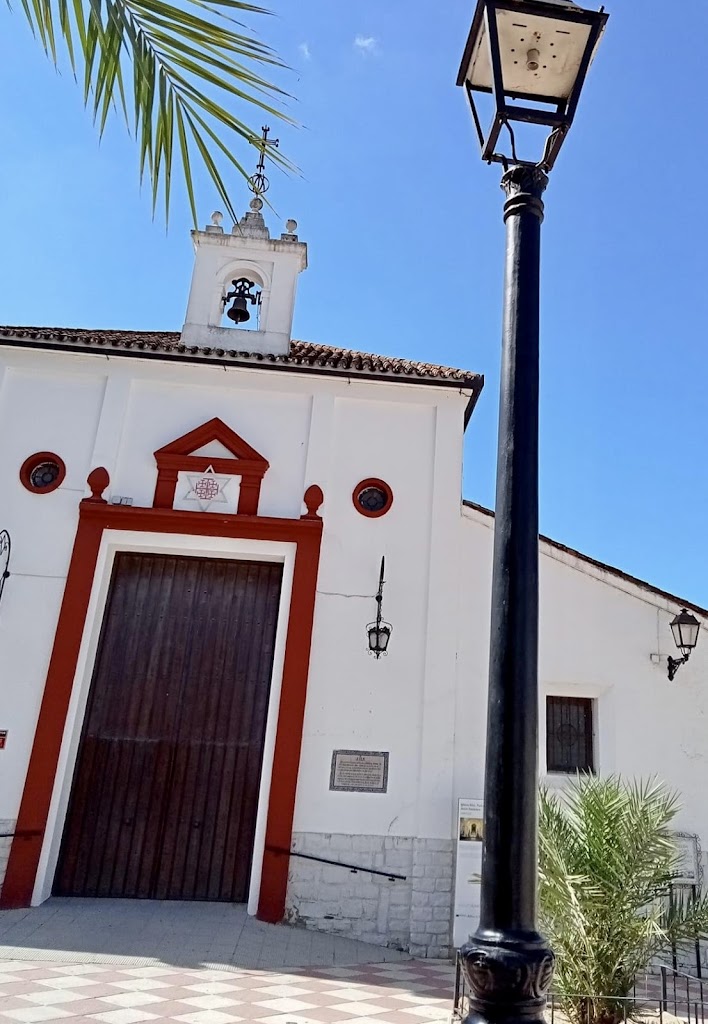 Area Plaza de las palmeras