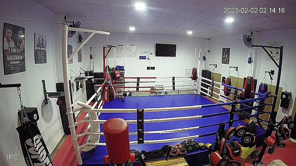 CLUB DE BOXEO PINATAR . SPORTS CENTER 12 ROUNDS — Boxeo