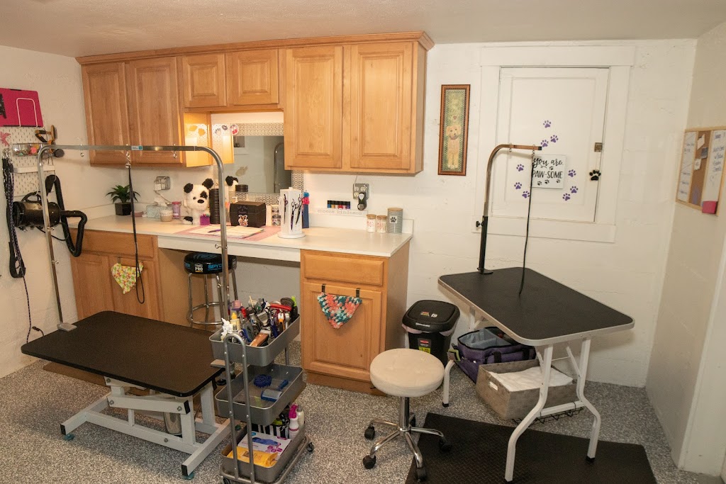 Pet groomer in Copperton