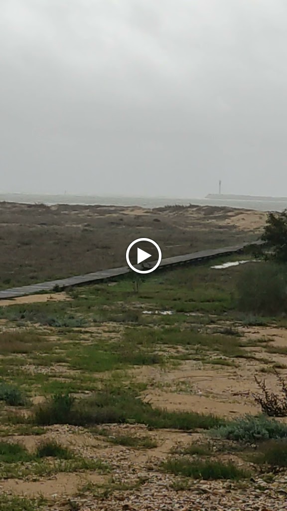 Mogueroil — Videos