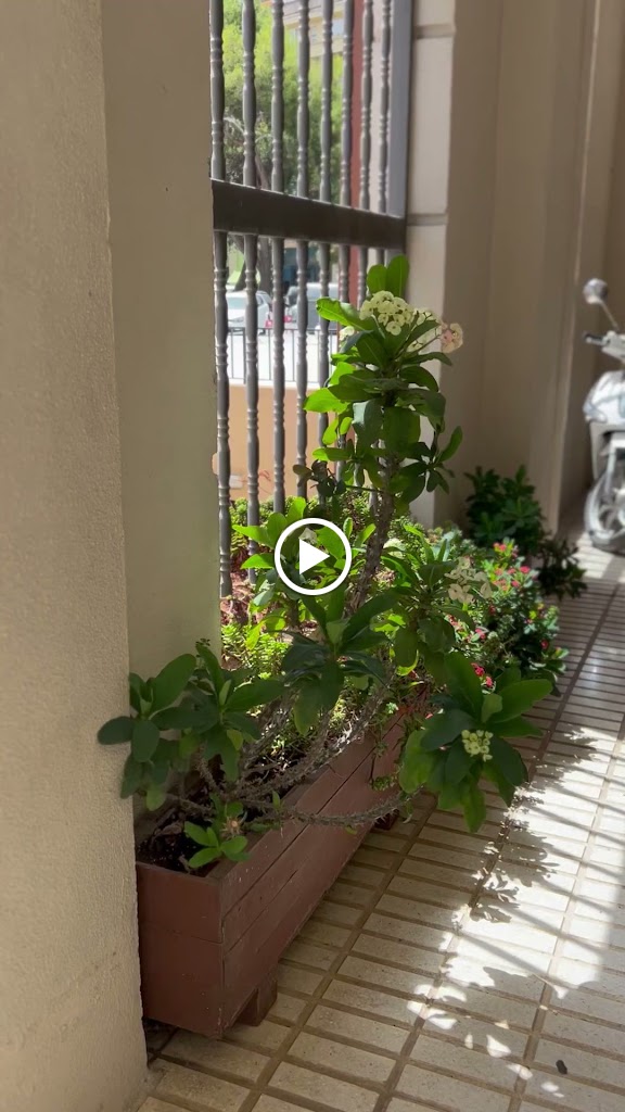 Marilo - Centro de Estetica — Videos