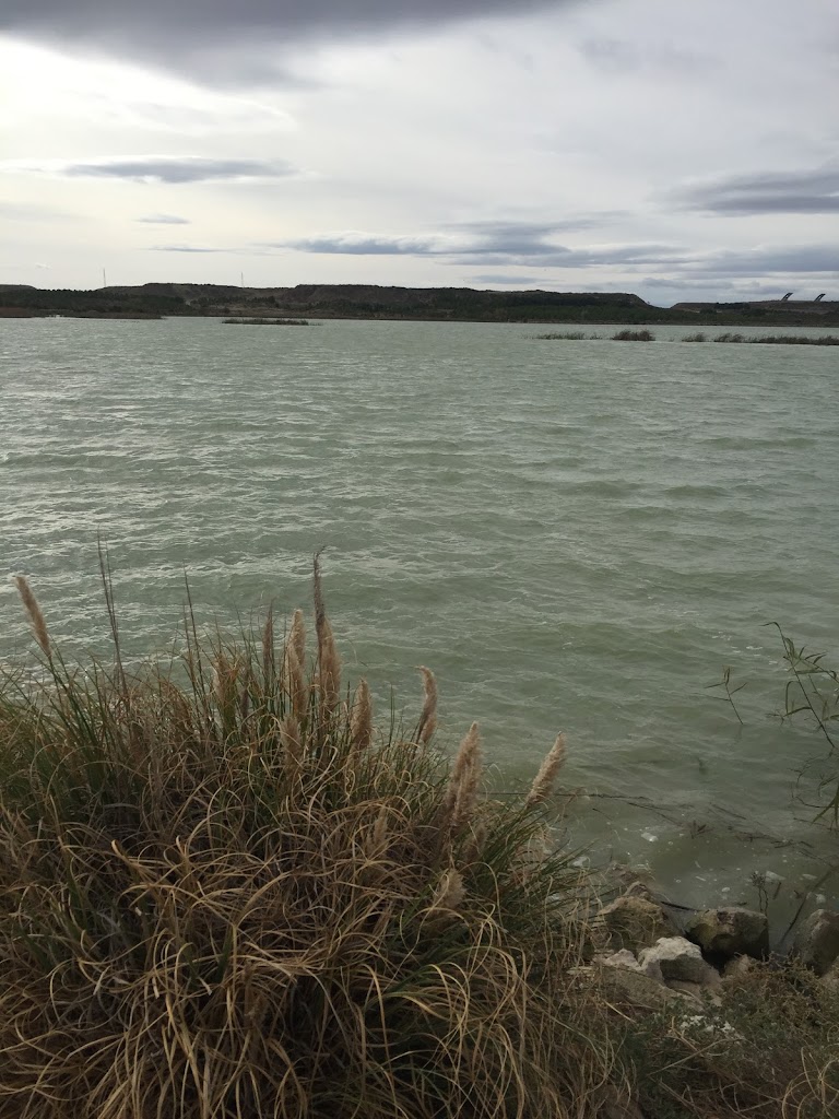 Parque Forestal Boalares