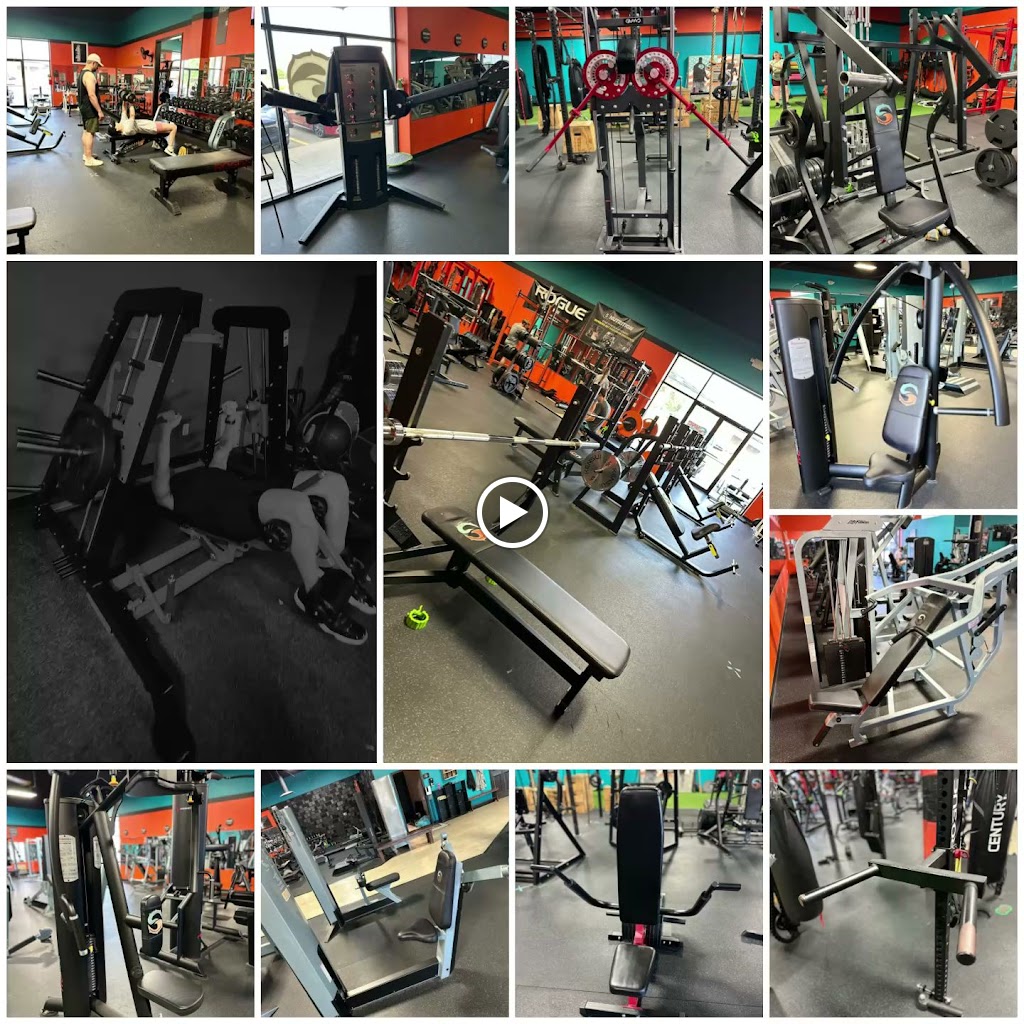  Sync Fitness & Movement