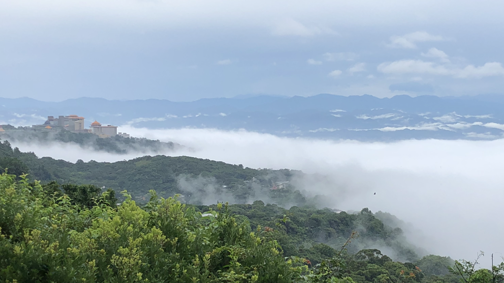 陽明山悠閒居 的照片