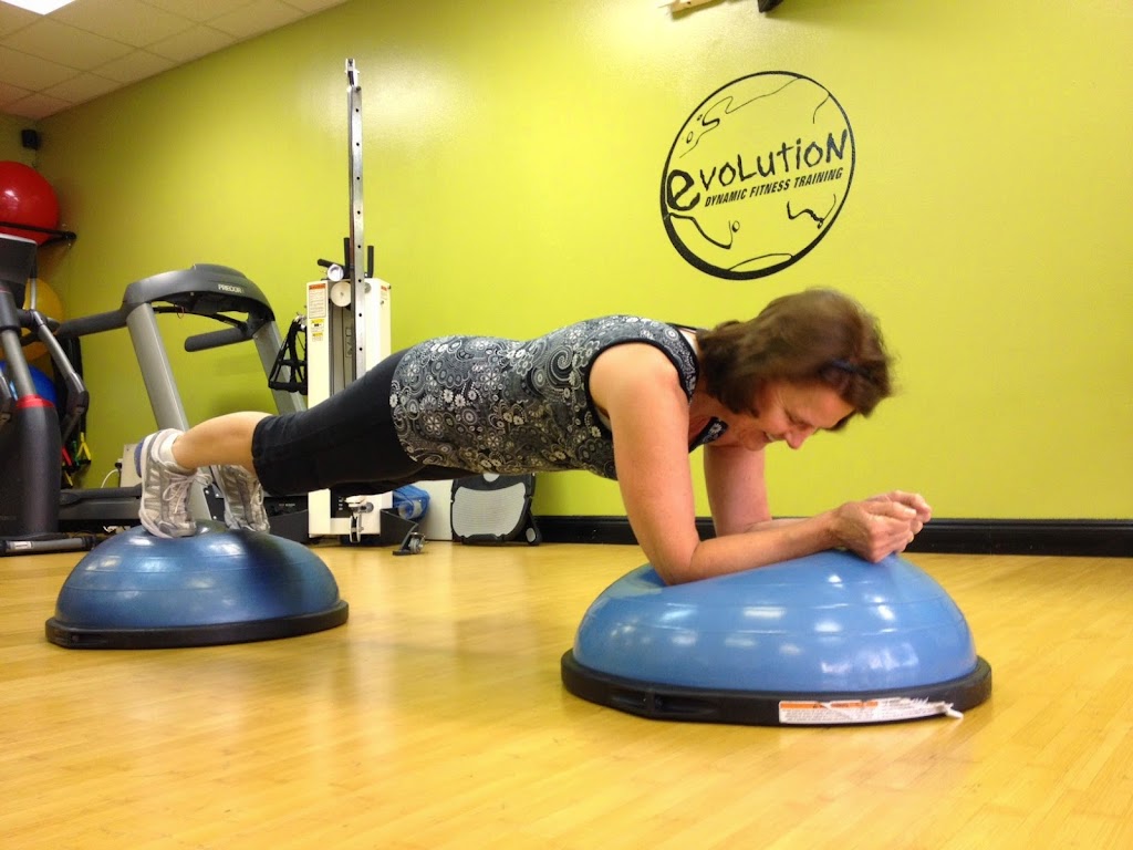  Evolution Dynamic Fitness