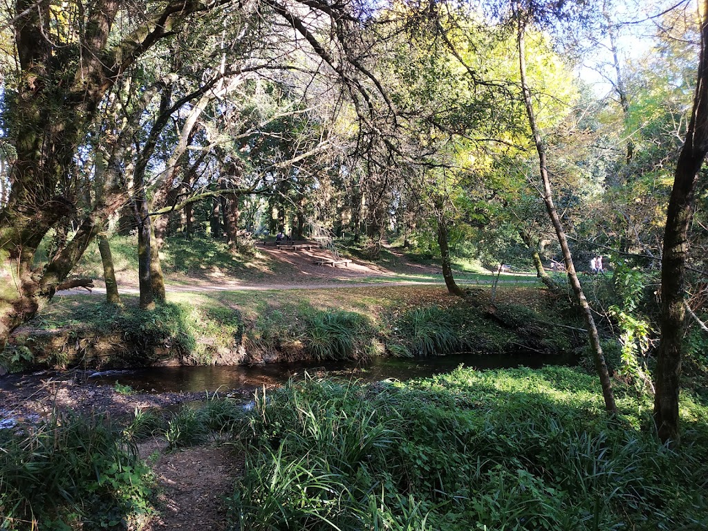 Senda Rio Sar - Parque peatonal "Eugenio Granell"