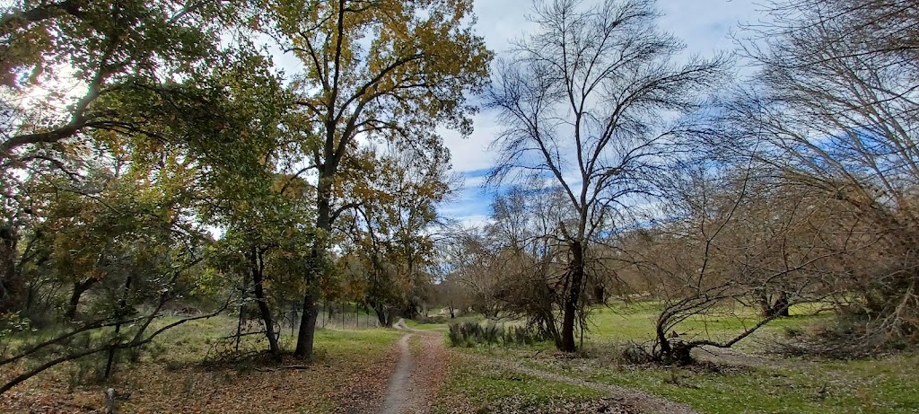 Camino de las Huelgas