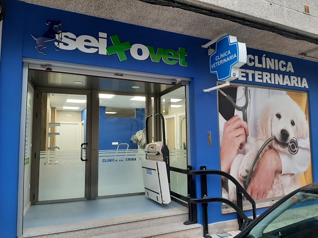 Seixovet Clinica Veterinaria — Del propietario