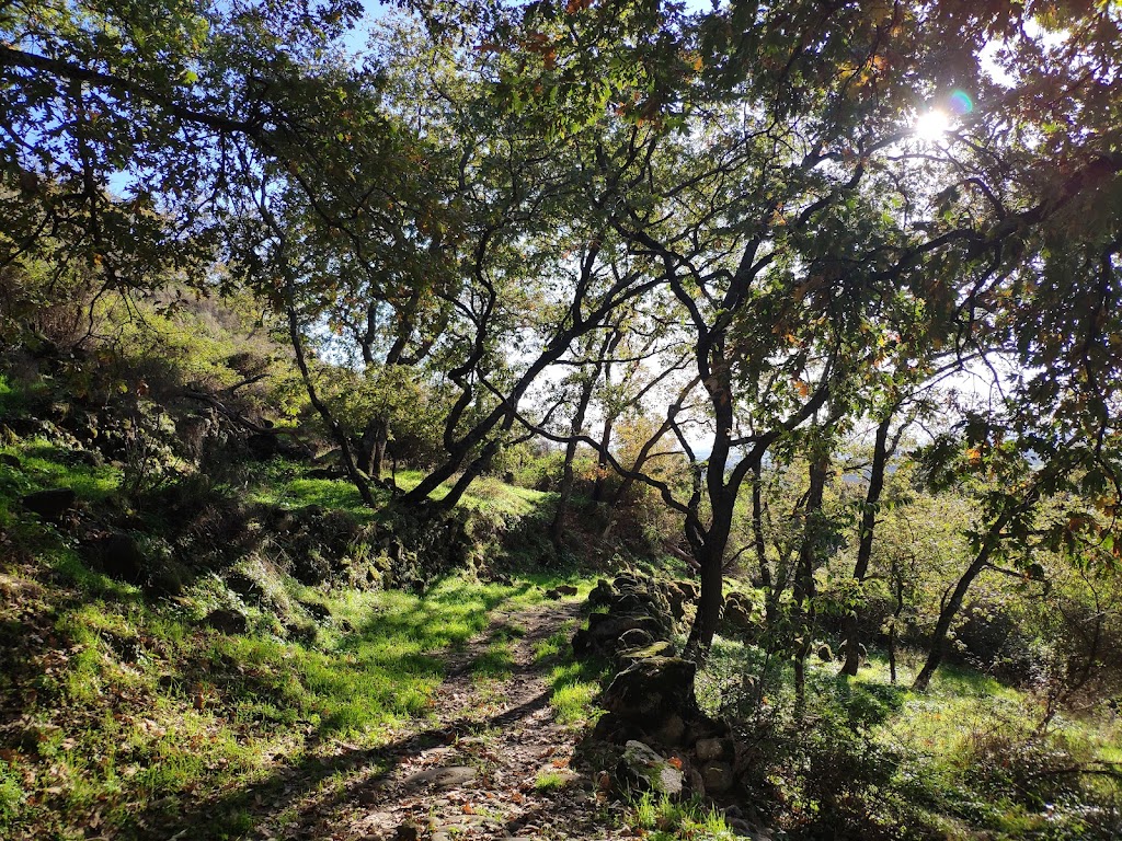 Ruta Los Pajares (SL-CC 204 ) - Inicio de ruta