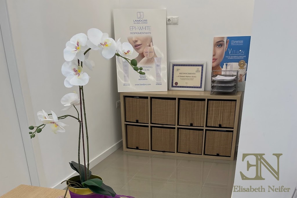 Elisabeth Neifer Estetica Cientifica