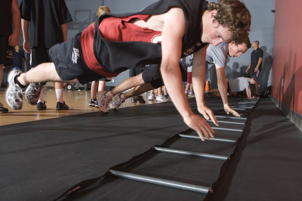  The Factory - Performance and Fitness