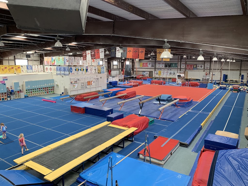  Top Flight Gymnastics Training