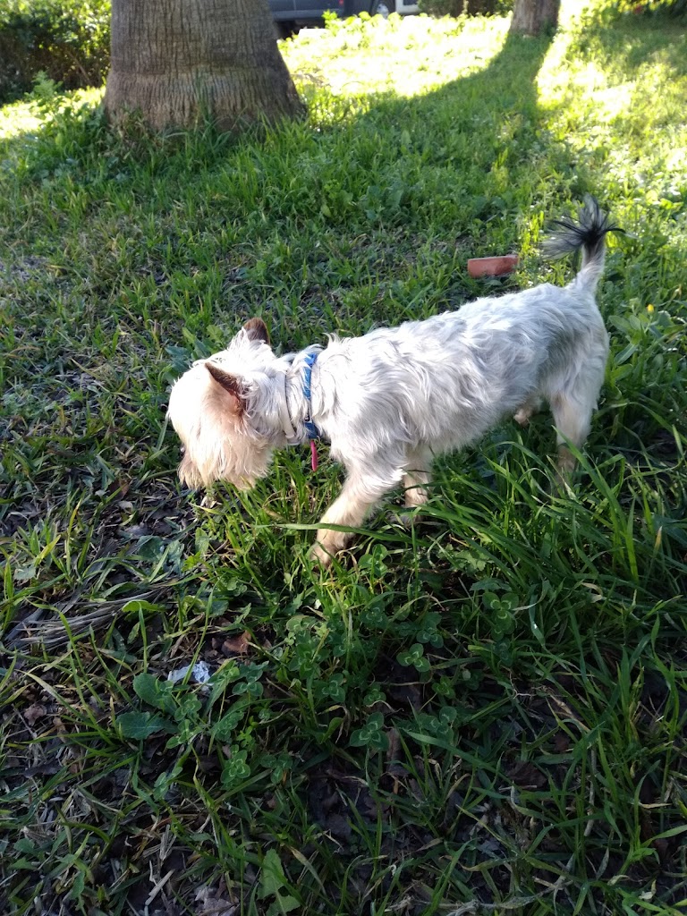 Parque Benito Perez Galdos