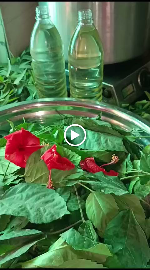 Sai Shivani Herbal Beauty Parlour Only For Ladies