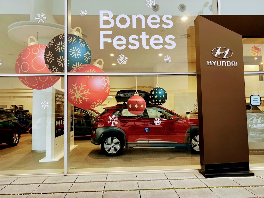 Hyundai Fornells Motor — Del propietario