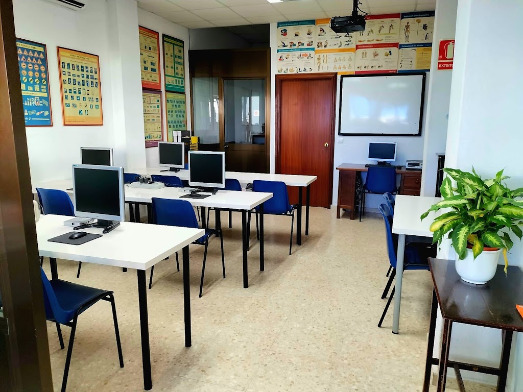 AUTOESCUELA LA PLATA — Del propietario