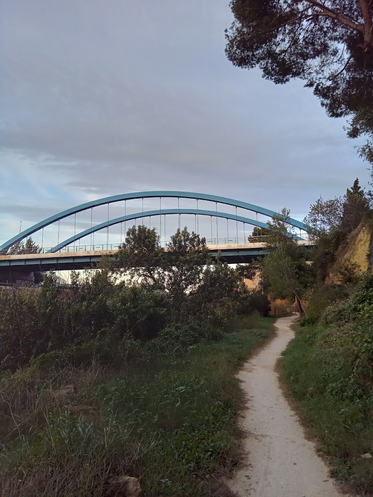 La senda de Sort - Torrent