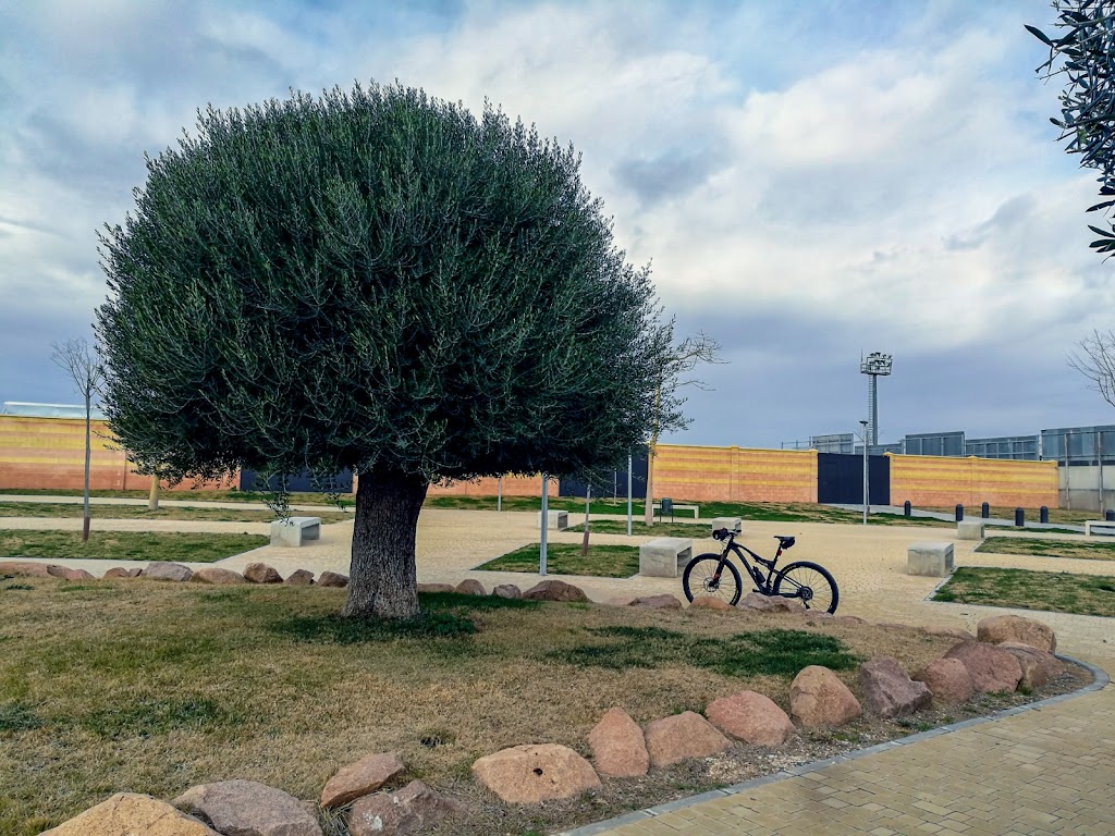 Escuela de Futbol Puente Genil