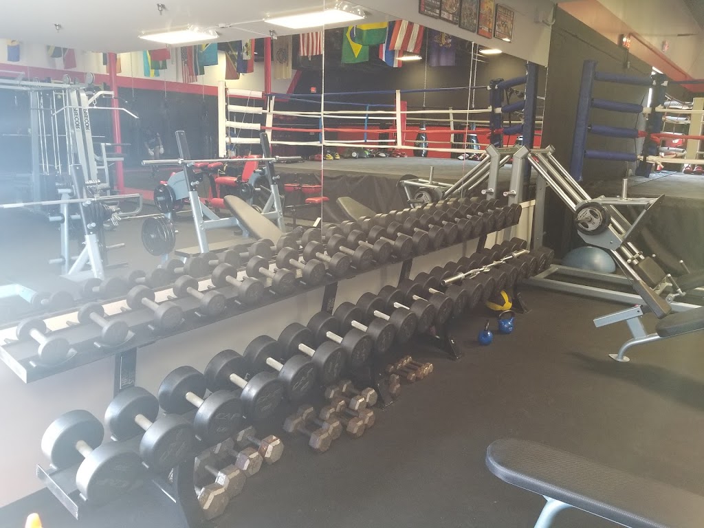  Elite Muay Thai & Fitness