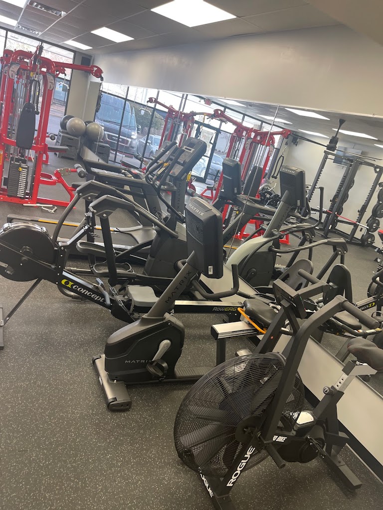  Dipaola Training Systems