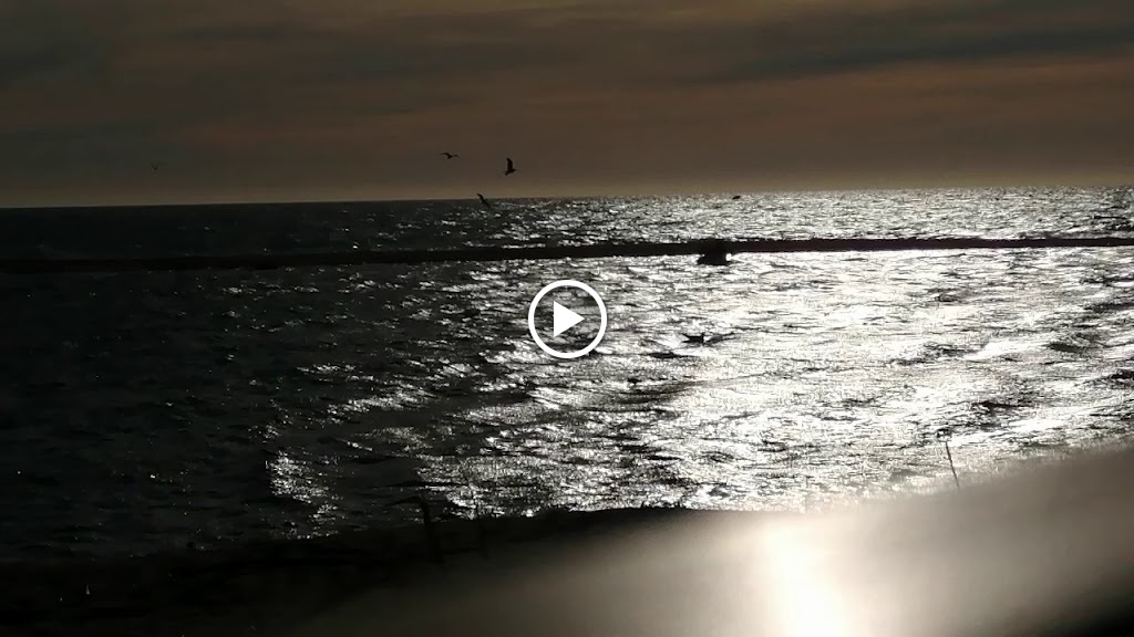 Zona de aparcamiento gratuito — Videos