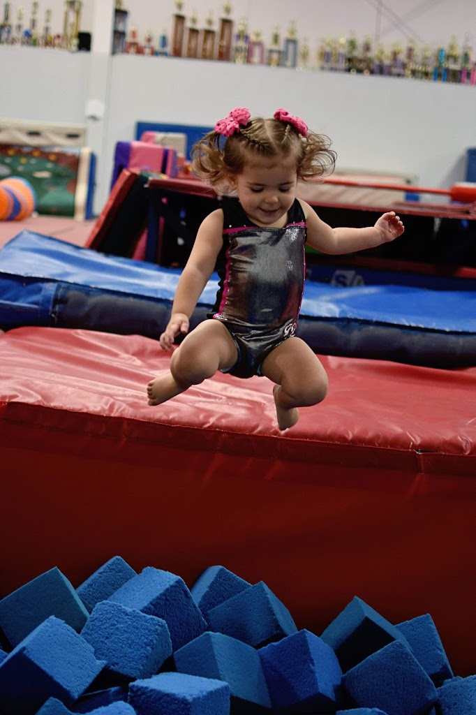  Kokomo Flipsters Inc