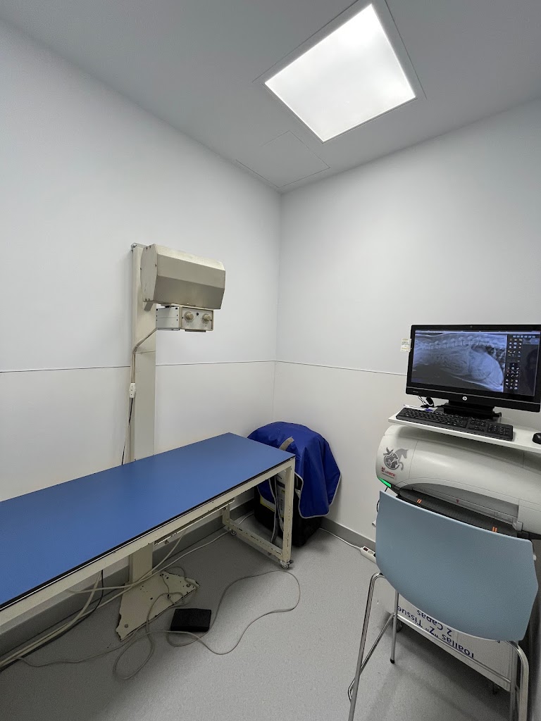 Clinica Veterinaria Caservet Rivas Santa Monica — Del propietario