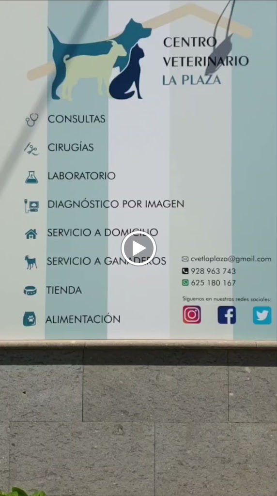 Clinica Veterinaria La Plaza — Mas recientes