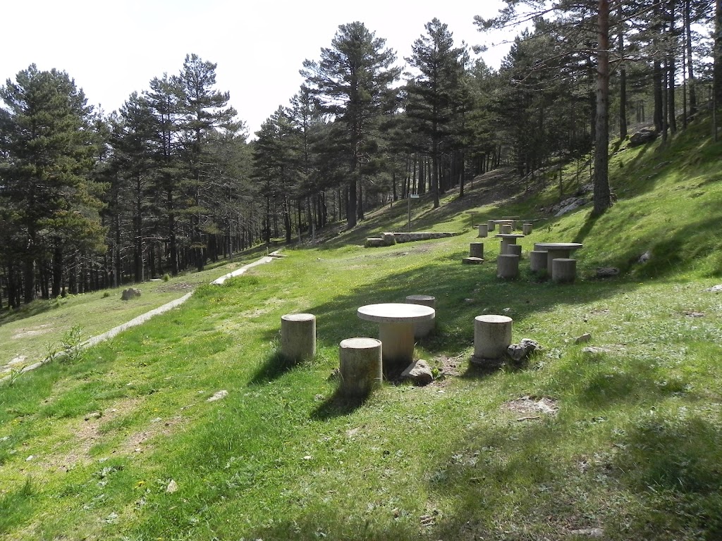 Fuente del Tajo. Nogueruelas.