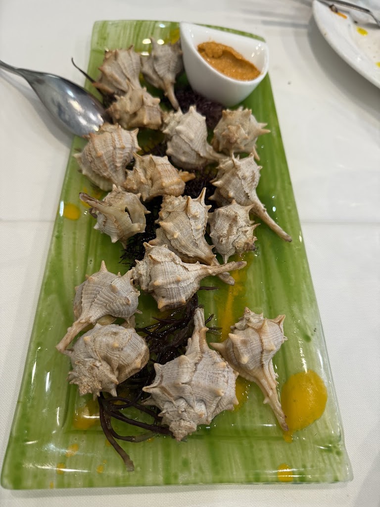 Restaurante Neptuno Benicarlo — Mas recientes