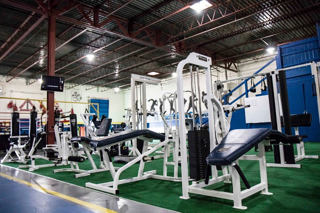  Transforming Bodies & Minds (Elite Sports Training)