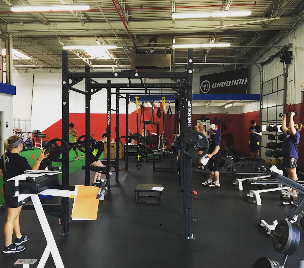  The Functional Athlete