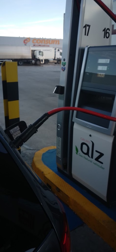 Gasolinera ALZ: Gasoleo a domicilio, cafeteria, estacion de servicio — Estacion de servicio