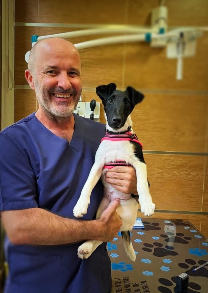 Clinica Veterinaria Zarpas y Bigotes