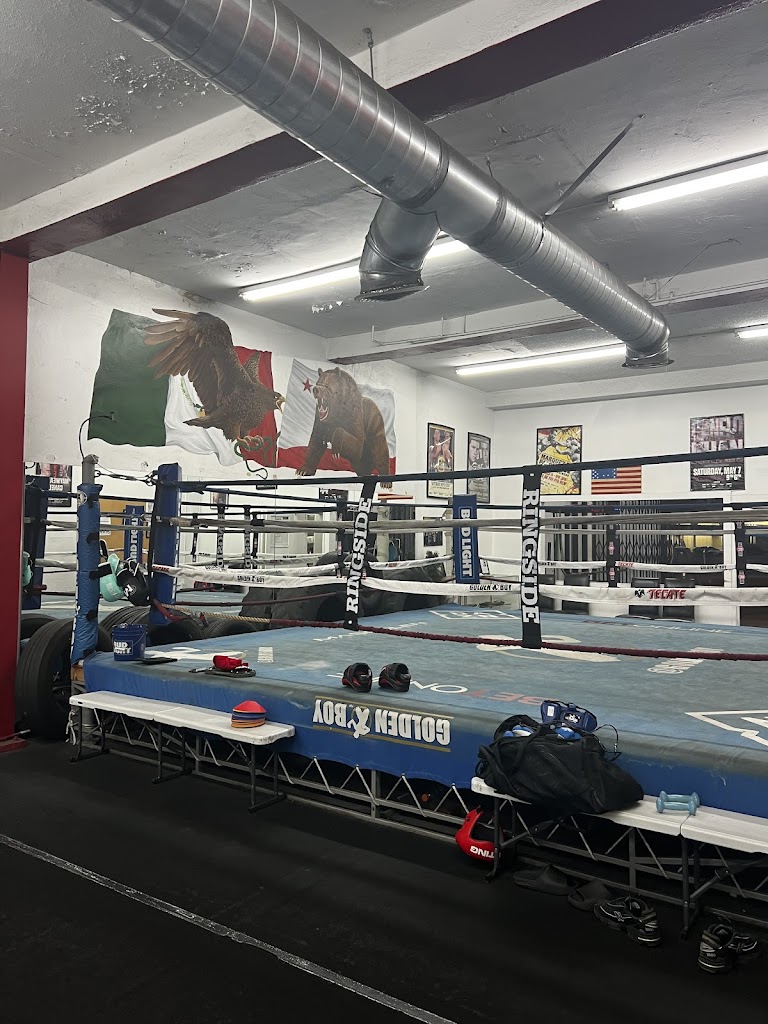  Jerry’s Personal Boxing Coaching