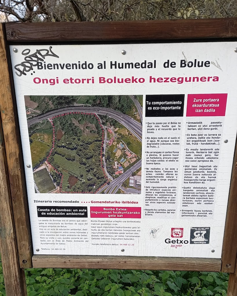 Humedal de Bolue